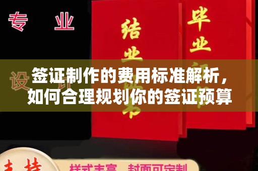 龙山签证制作的费用标准解析，如何合理规划你的签证预算
