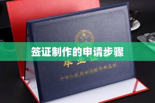 衡水签证制作的申请步骤